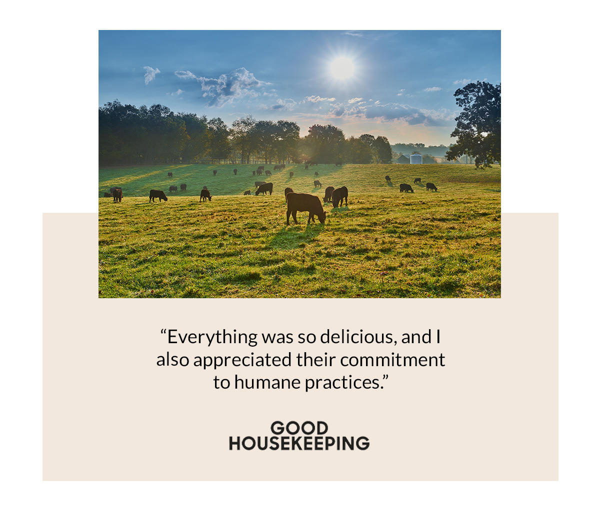"Everything was so delicious" - Good HouseKeeping