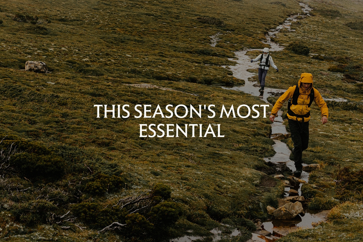 This season's most essential