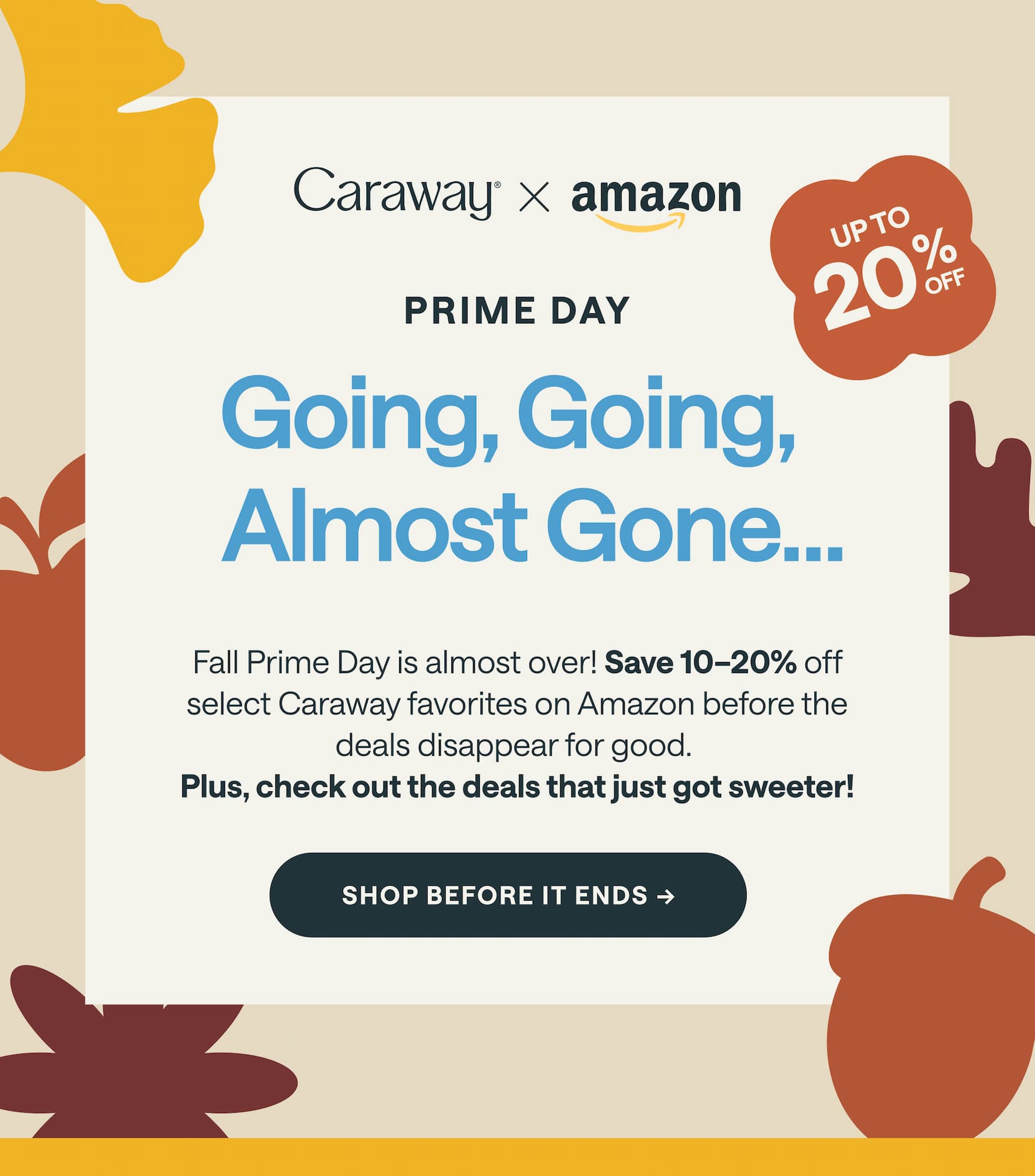 Going, Going, Almost Gone | Shop Before It Ends 