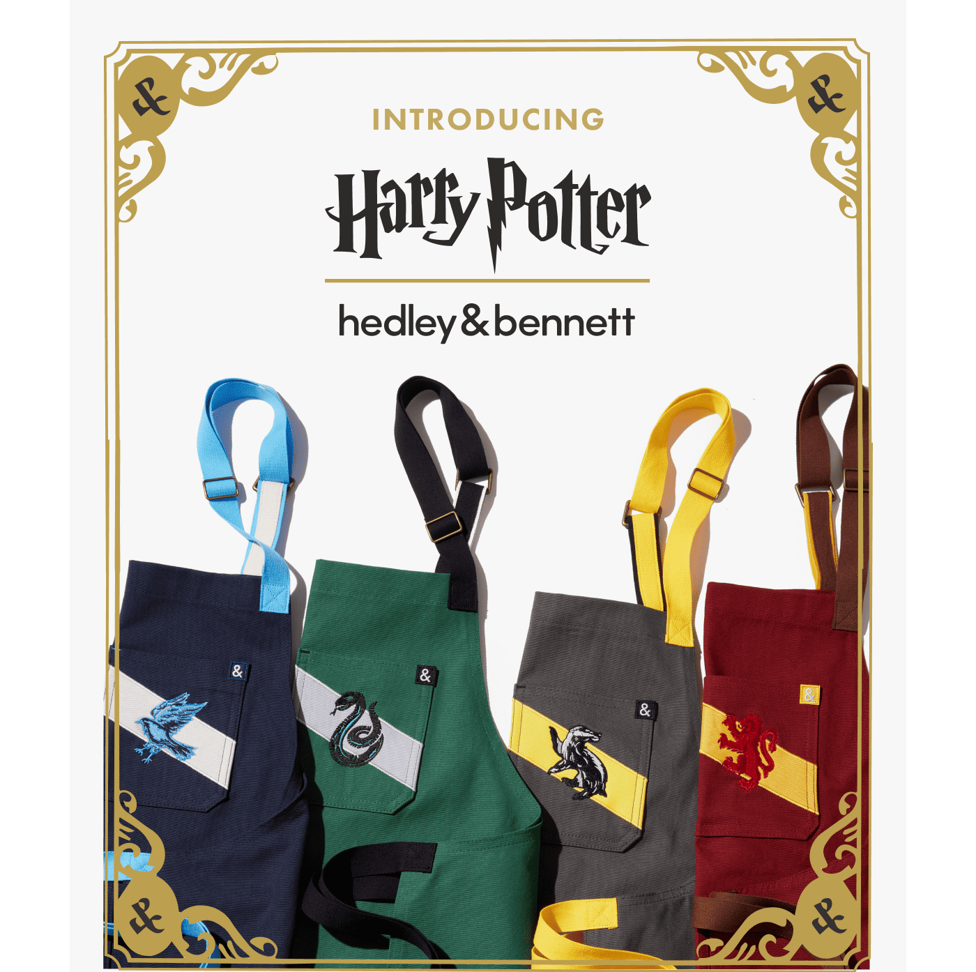 Introducing Harry Potter | Hedley & Bennett