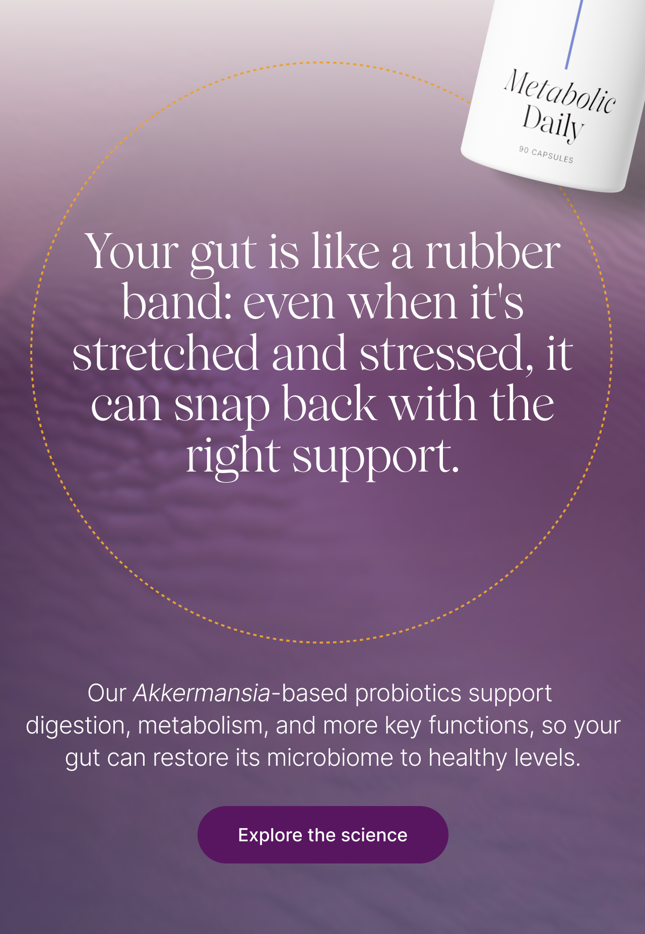 Your gut is like a rubber band: even when it&rsquo;s stretched and stressed, it can snap back with the right support. Our Akkermansia-based probiotics support digestion, metabolism, and more key functions, so your gut can restore its microbiome to healthy levels. Explore the science.