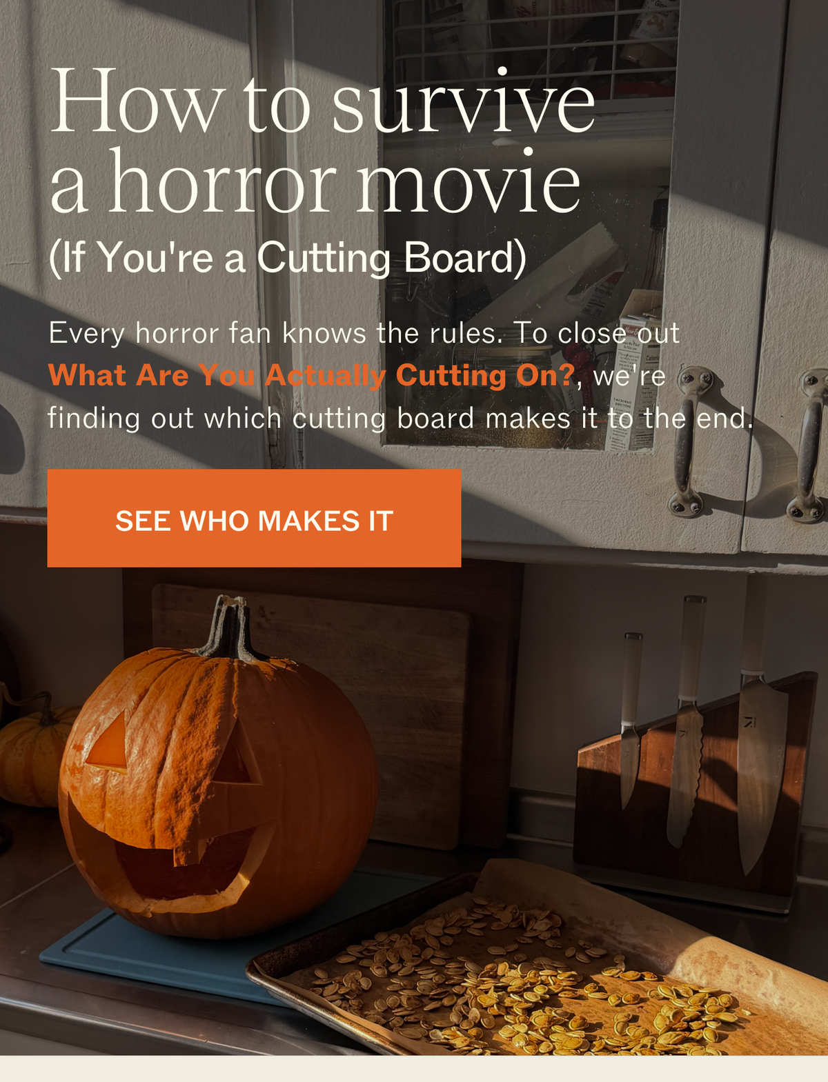 How to survive a horror movie (If You're a Cutting Board). Every horror fan knows the rules. To close out What Are You Actually Cutting On?, we're finding out which cutting board makes it to the end. SEE WHO MAKES IT.