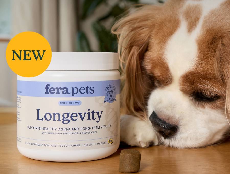 Introducing Longevity Soft Chews for Dogs