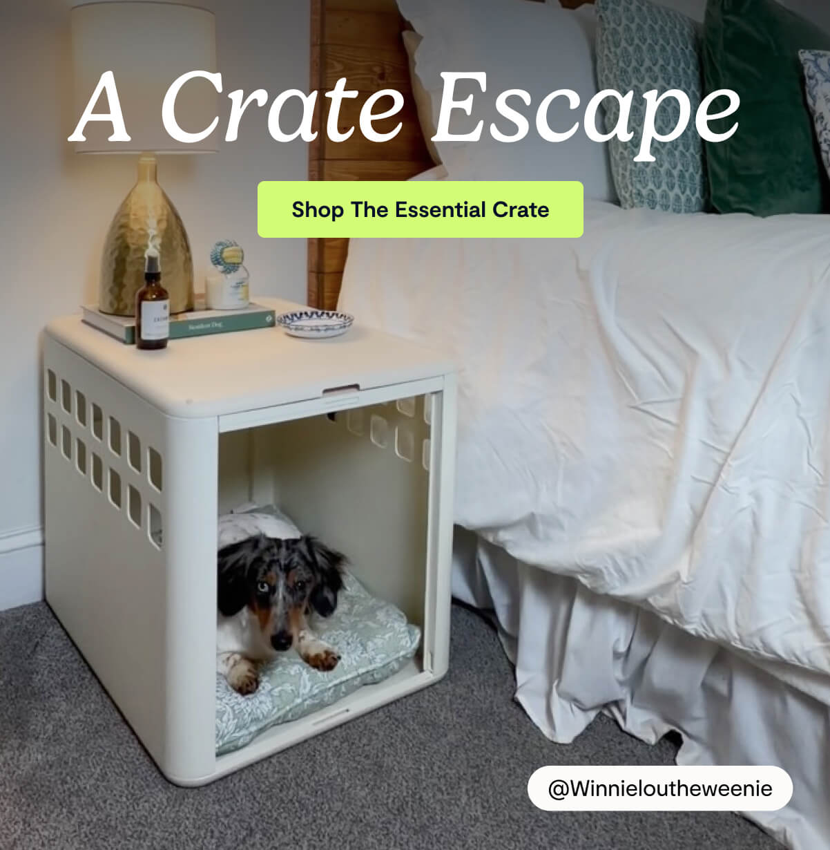 A Crate Escape