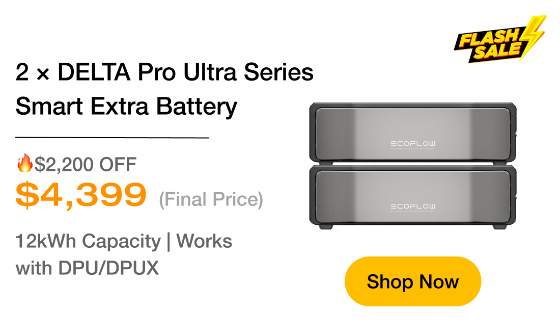 2 &times; DELTA Pro Ultra Series Smart Extra Battery