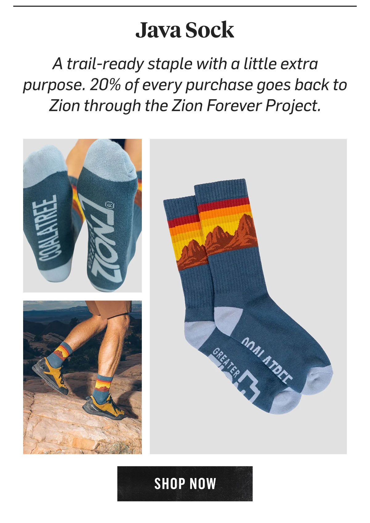 Coalatree Java Sock: a trail-ready staple with a little extra purpose, 20% of every purchase goes back to Zion through the Zion Forever Project. Shop Now!