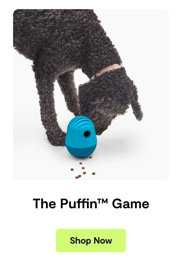 The Puffin&trade; Game