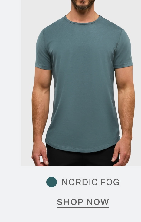 AO Curve-Hem Tee in Nordic Fog