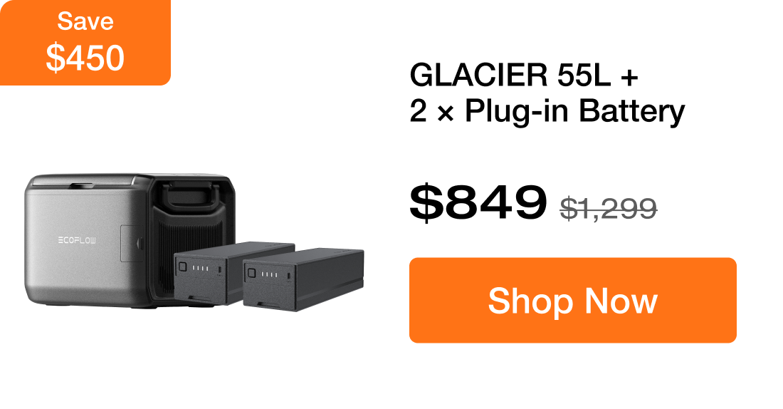GLACIER 55L + 2 &times; Plug-in Battery $849