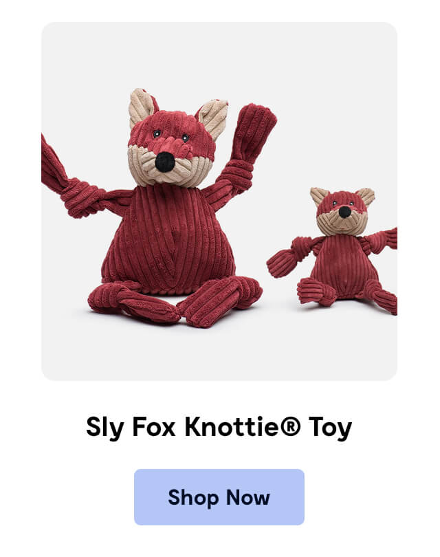 HuggleHounds - Sly Fox Knottie&reg; Toy