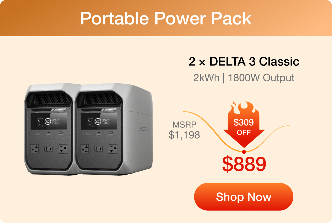 2 &times; DELTA 3 Classic 2kWh | 1800W Output