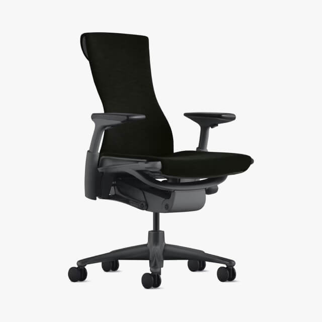 View Embody Chair