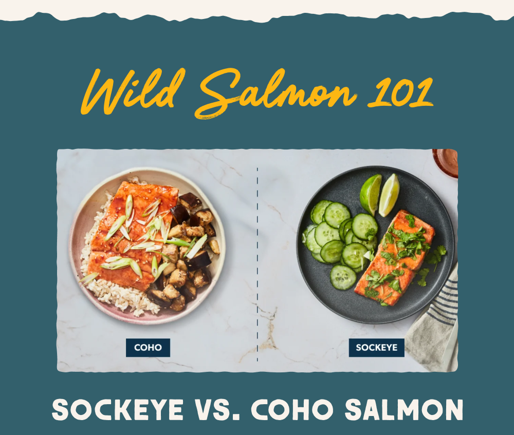 Wild Salmon 101