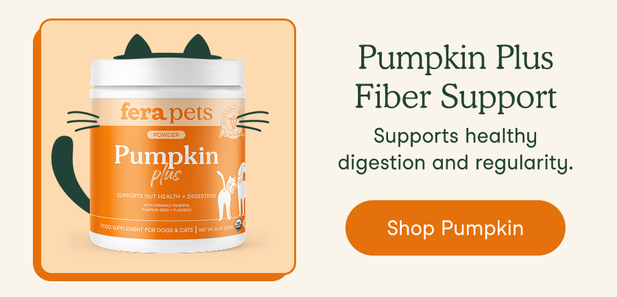 Pumpkin Plus Fiber Support