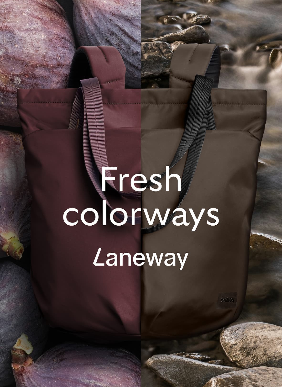 Header Laneway in fresh colorways