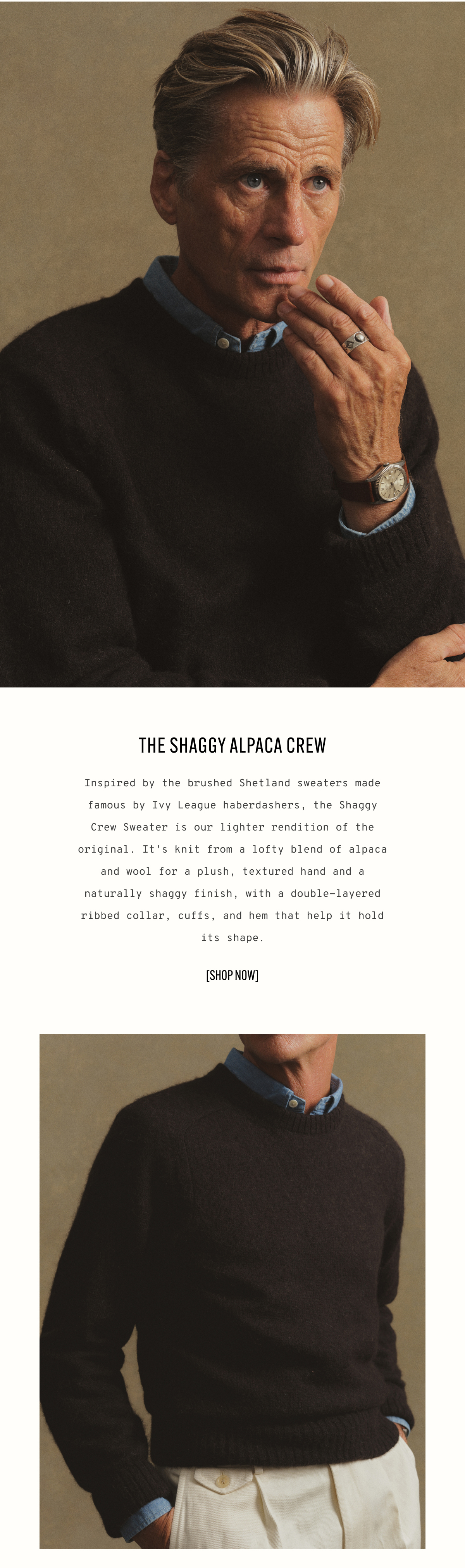Shaggy Alpaca 