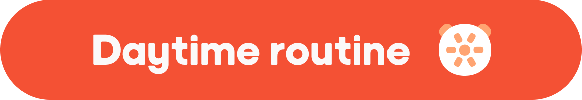 Daytime routine