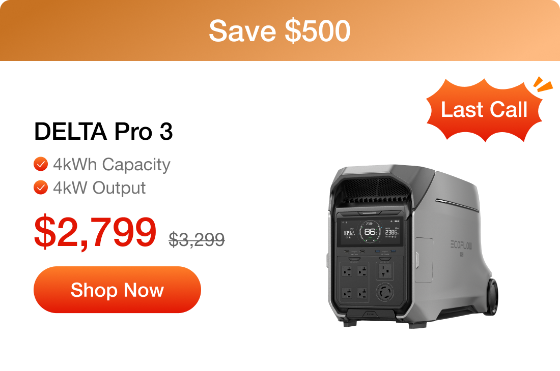 DELTA Pro 3
