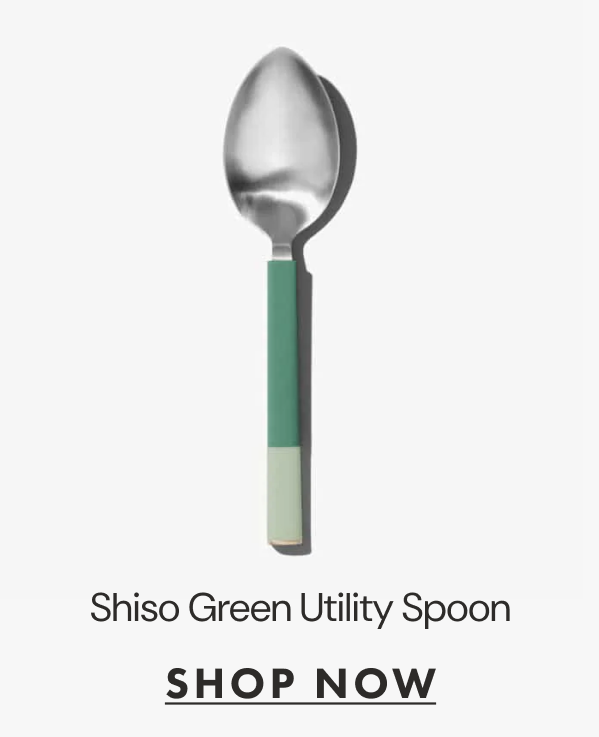 Shiso Gren Utility Spoon | SHOP NOW