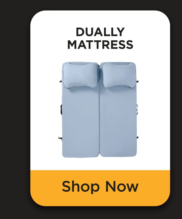 Shop Dually Mattress