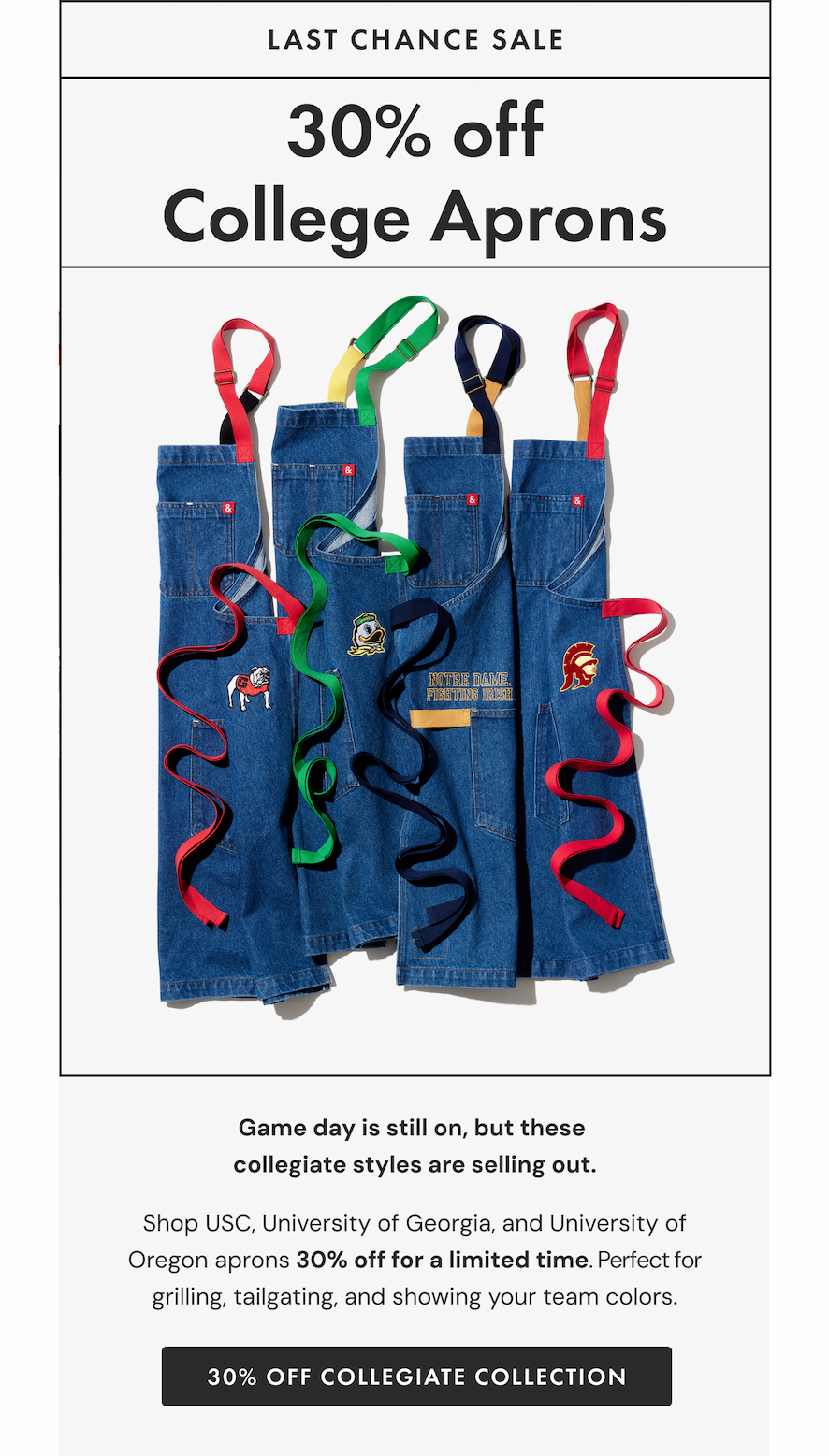 LAST CHANCE SALE | 30% off College Aprons
