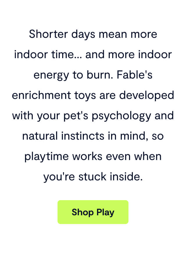Shorter days mean more indoor time&hellip; and more indoor energy to burn. Fable's enrichment toys are developed with your pet's psychology and natural instincts in mind, so playtime works even when you're stuck inside. Shop Play