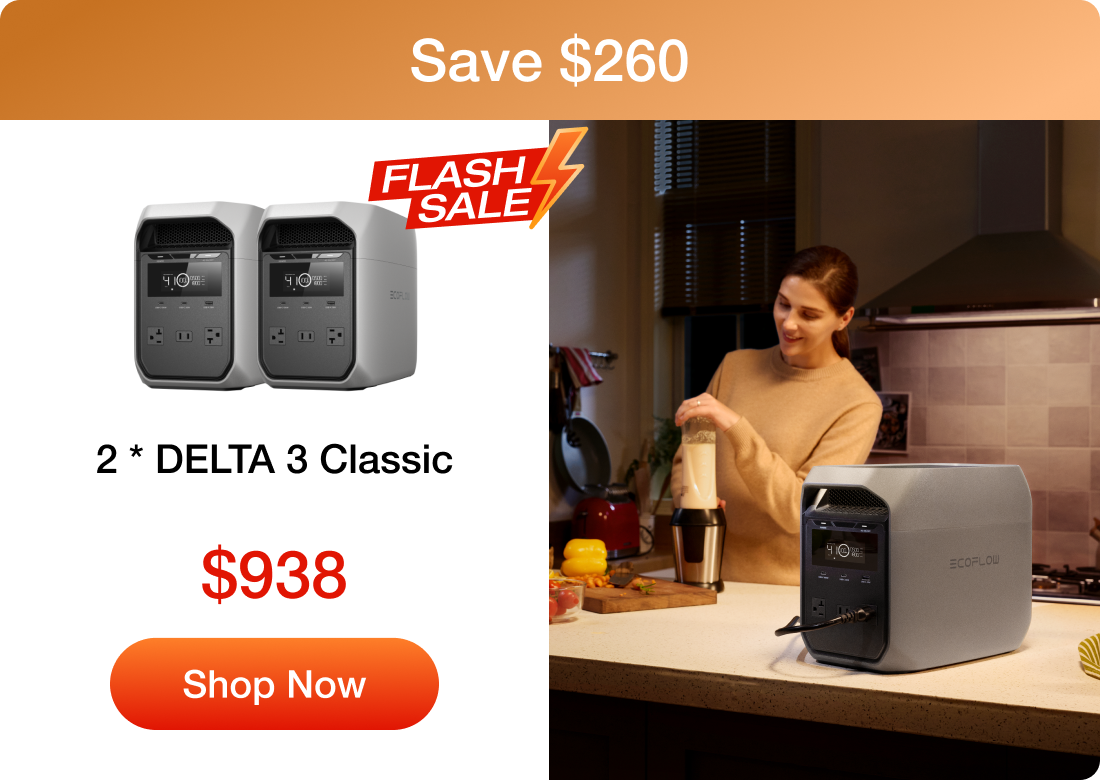 2 * DELTA 3 Classic