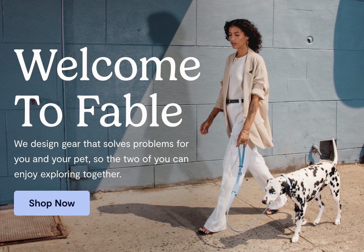 Welcome To Fable