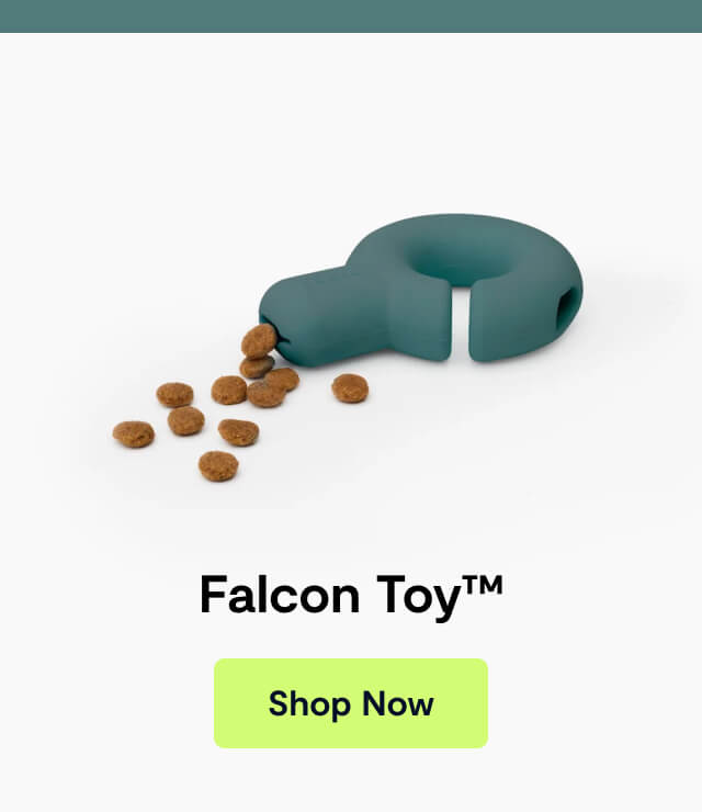Falcon Toy&trade;. Shop Now