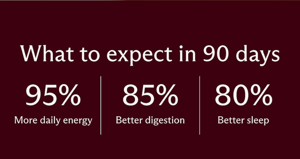 ONE RITUAL. 90 Days. What to expect in 90 days 95% 85% 80% More daily energy Better digestion Better sleep
