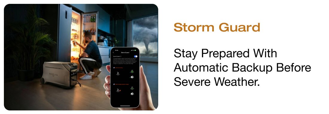 Storm Guard Stay prepared with automatic backup before severe weather.