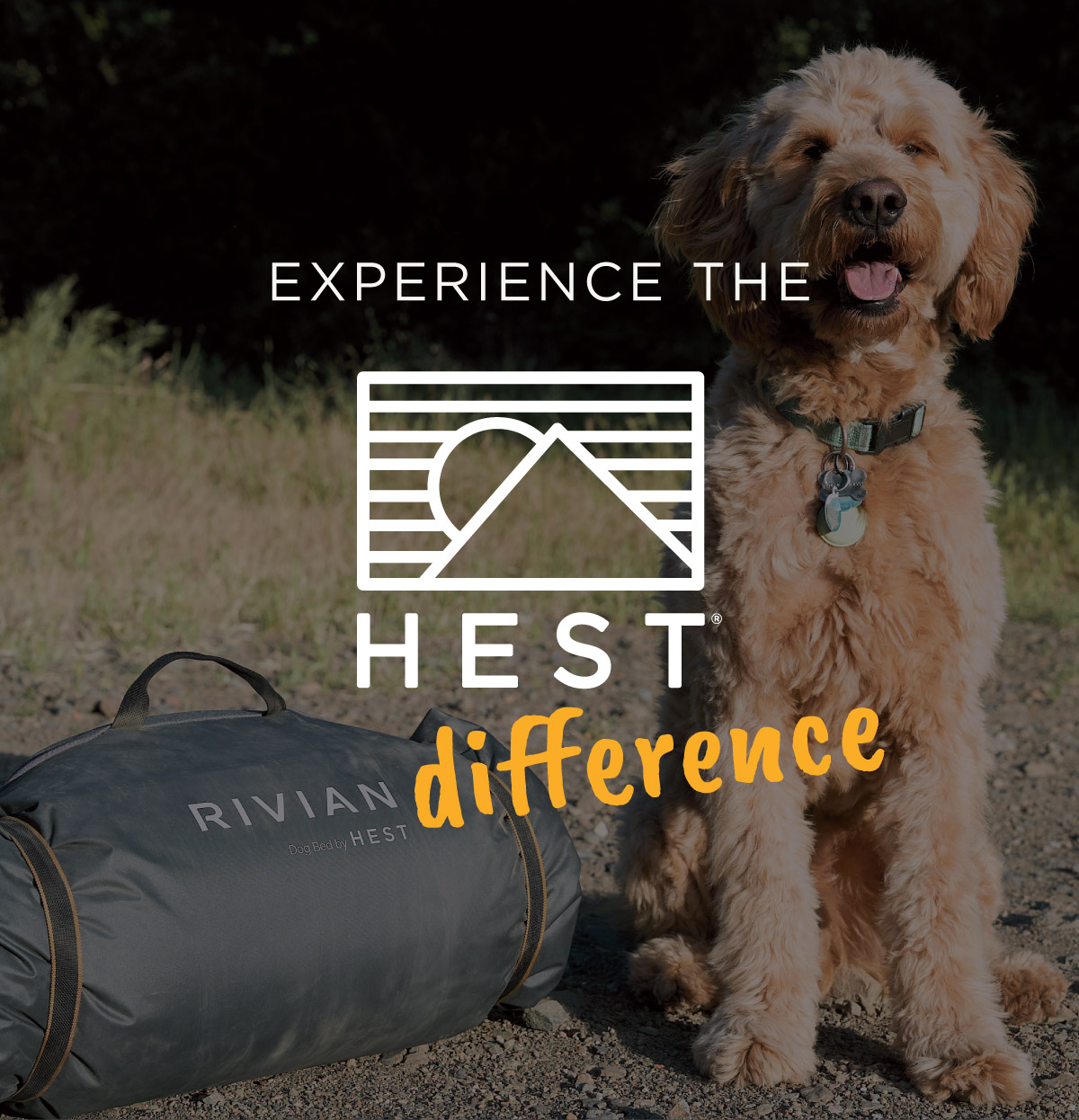 Experience The HEST Difference