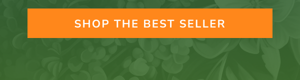 shop the best seller