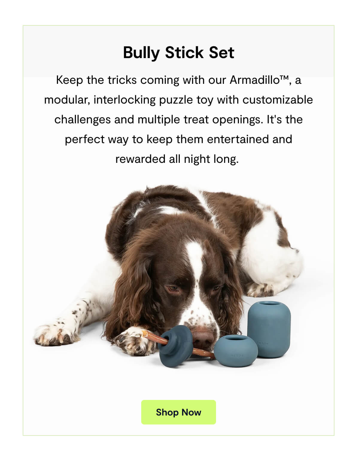 Bully Stick Set. Keep the tricks coming with our Armadillo&trade;, a modular, interlocking puzzle toy with customizable challenges and multiple treat openings. It's the perfect way to keep them entertained and rewarded all night long. Shop Now