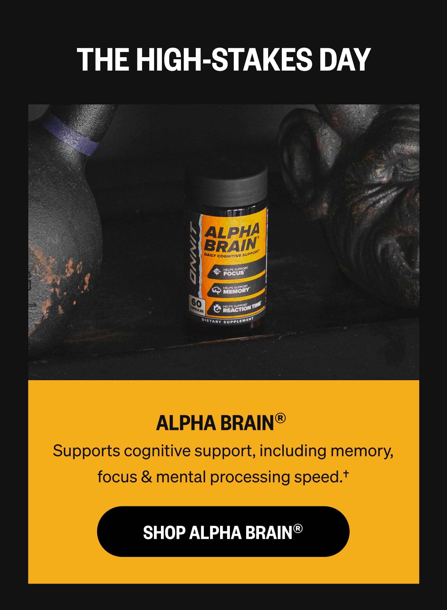 THE HIGH-STAKES DAY ALPHA BRAIN&reg;  Supports cognitive support, including memory, focus & mental processing speed.&dagger; SHOP ALPHA BRAIN&reg;