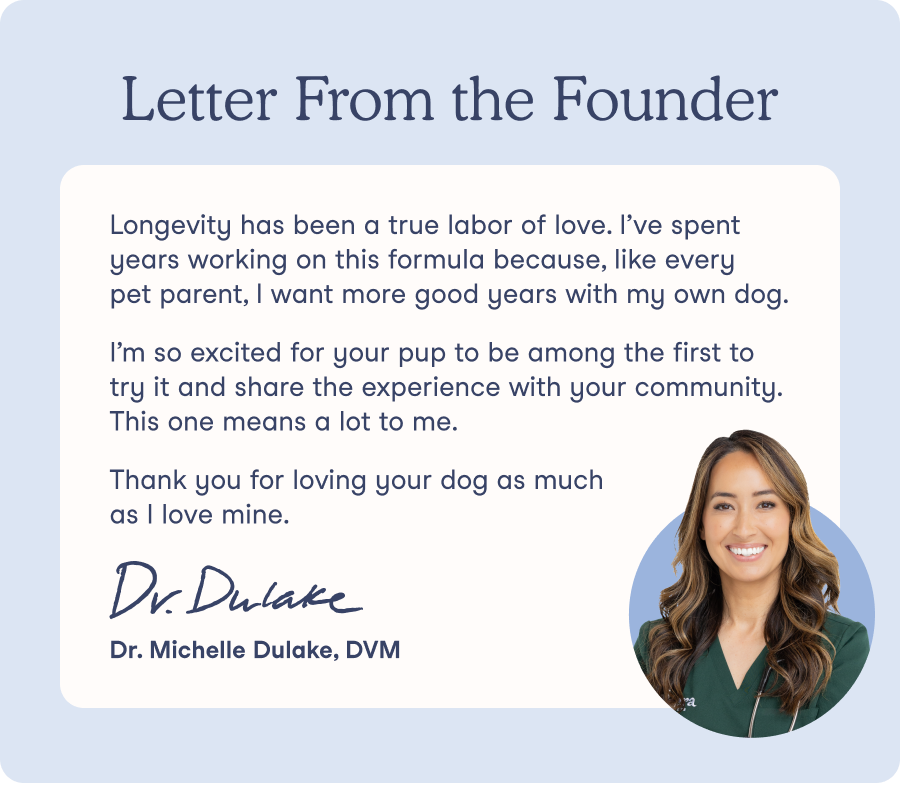 Letter From the Founder