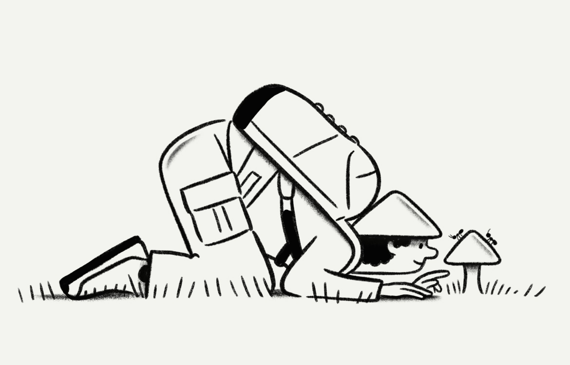 Illusration of a person close to the ground, admiring some ants traversing over a mushroom.