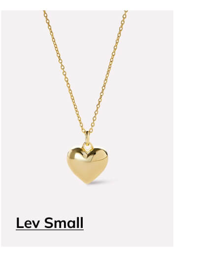 Lev Small