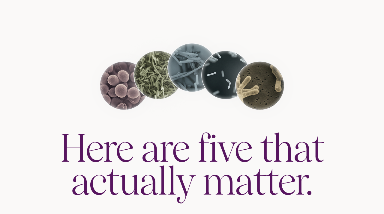 Here are five that actually matter.