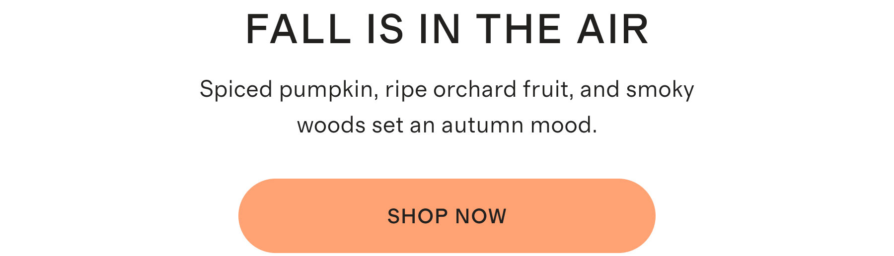 FALL IS IN THE AIR