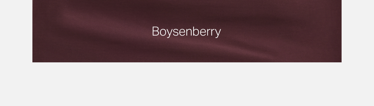 Boysenberry
