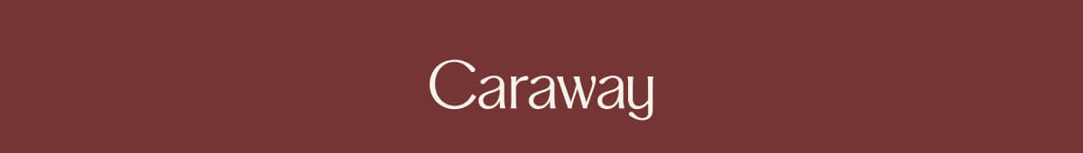 Caraway Home 