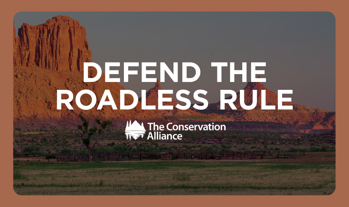 Defend the Roadless Rule | The Conservation Alliance