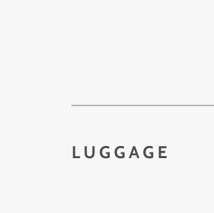 Luggage