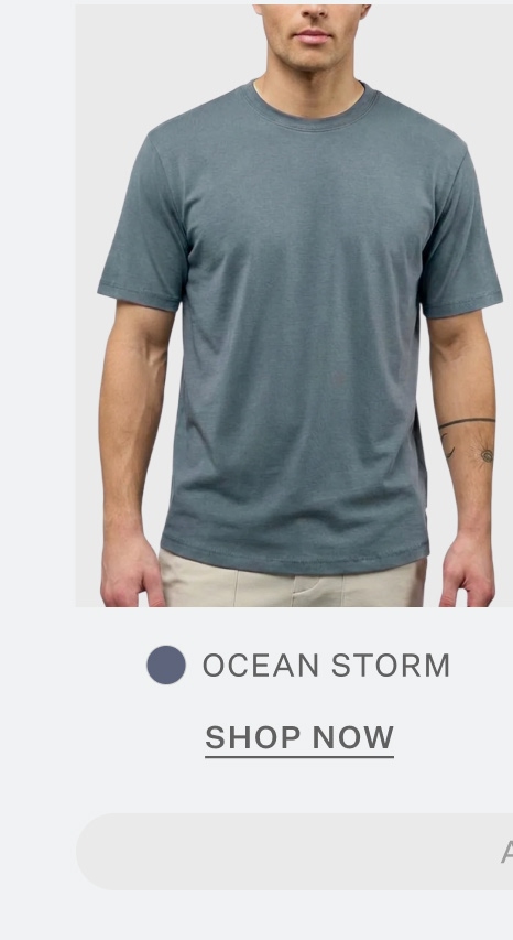 Featherlight Pima Tee in Ocean Storm