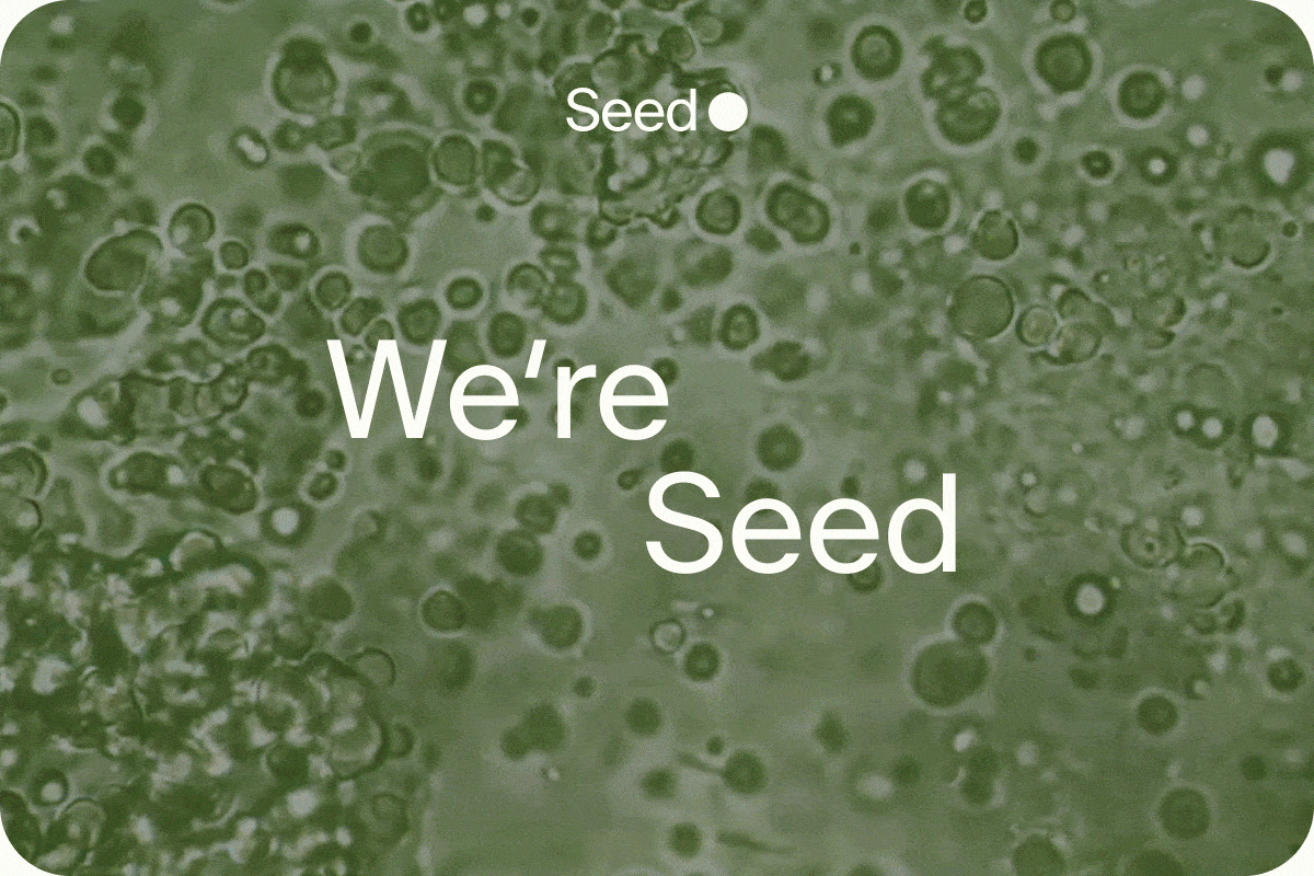 Seed | We're Seed