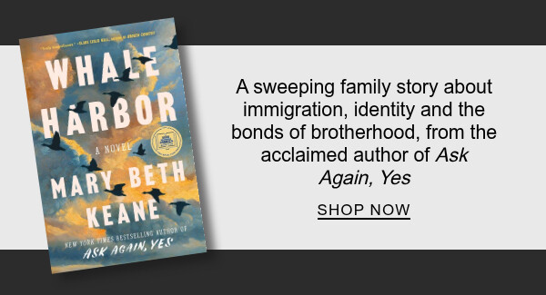 A sweeping family story about immigration, identity and the bonds of brotherhood, from the acclaimed author of <em>Ask Again, Yes</em> | SHOP NOW