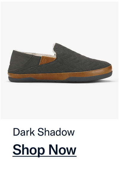 Dark Shadow