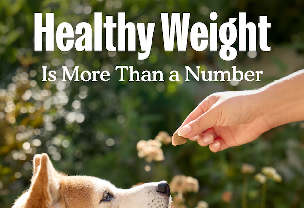 Healthy Weight Is More Than a Number.