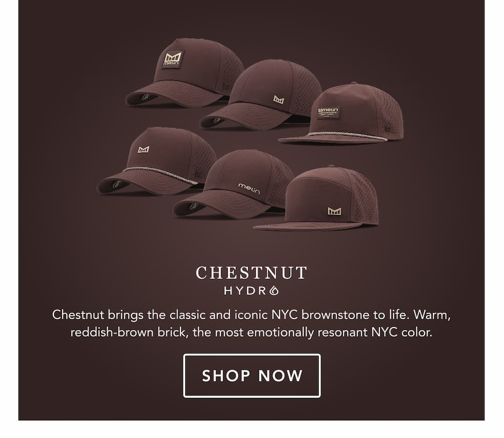 Shop Chestnut